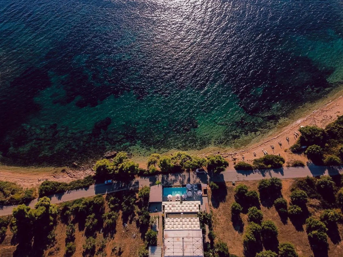 Casa Bloo Adults Only Otel Elia Nikitis