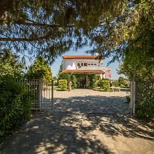 Homestay Ampelos 