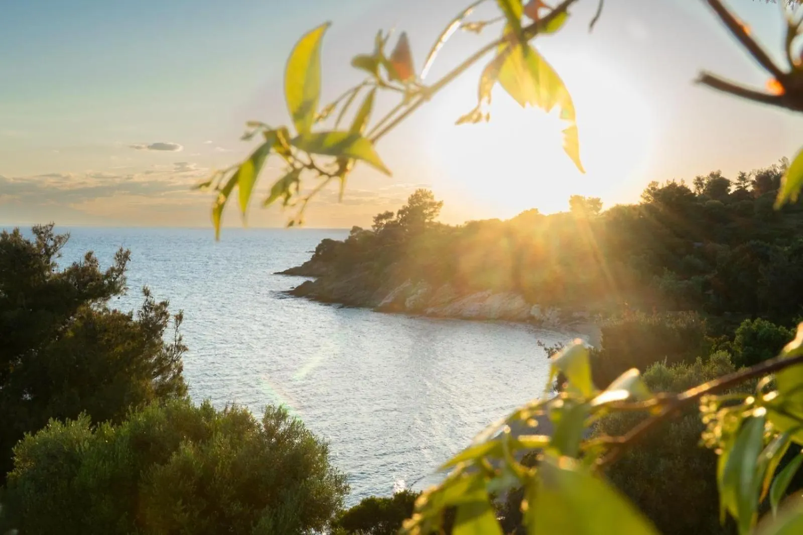 Casa Bloo Adults Only Hotel Elia Nikitis